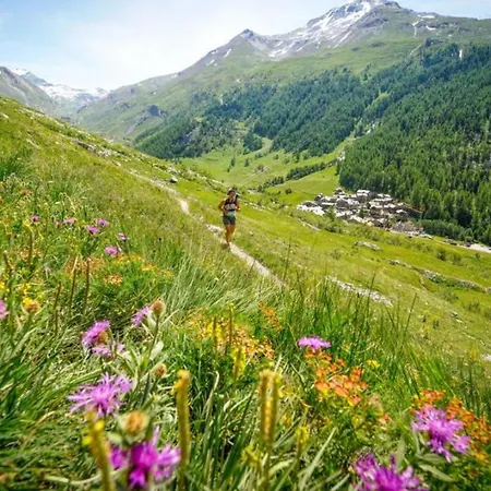 Apartment Chamois Blanc 6 - Haven With Great Views